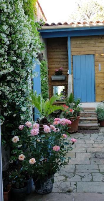 Maison De Charme Proche Gare Et Centre Ville Gaillac Kültér fotó