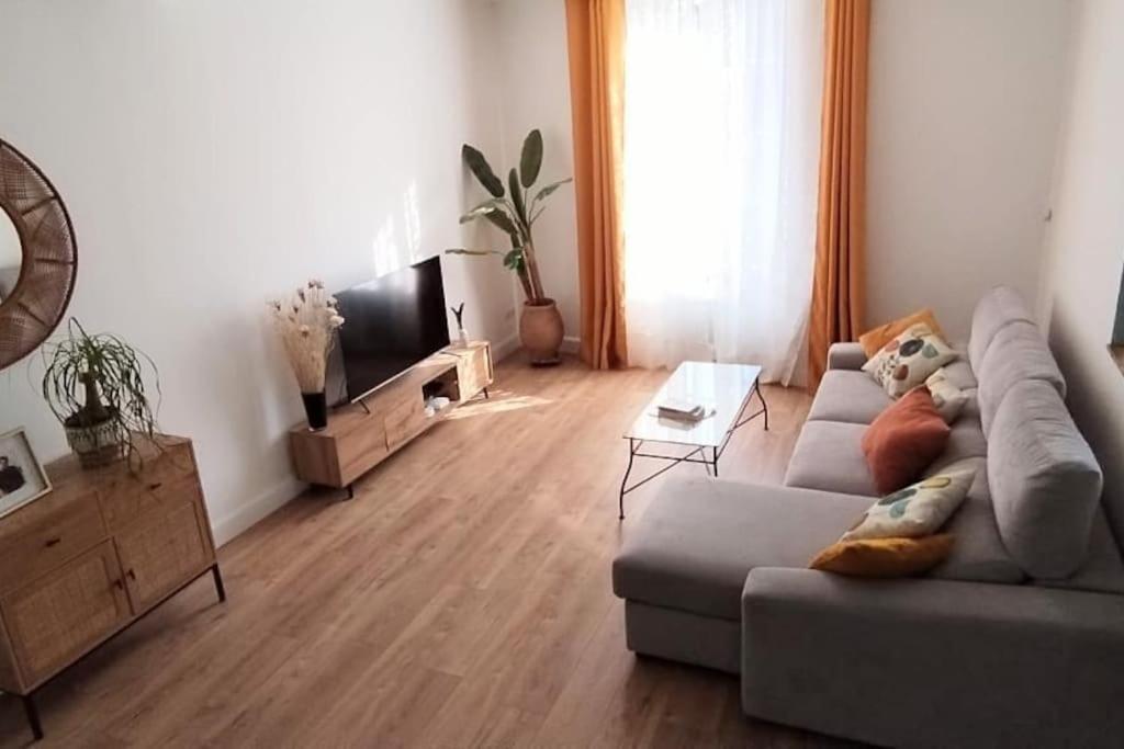 Maison De Charme Proche Gare Et Centre Ville Gaillac Kültér fotó